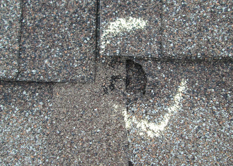 Hail Damage Roof Repair Laurel