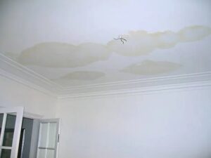 Roof Leak Ceiling stains