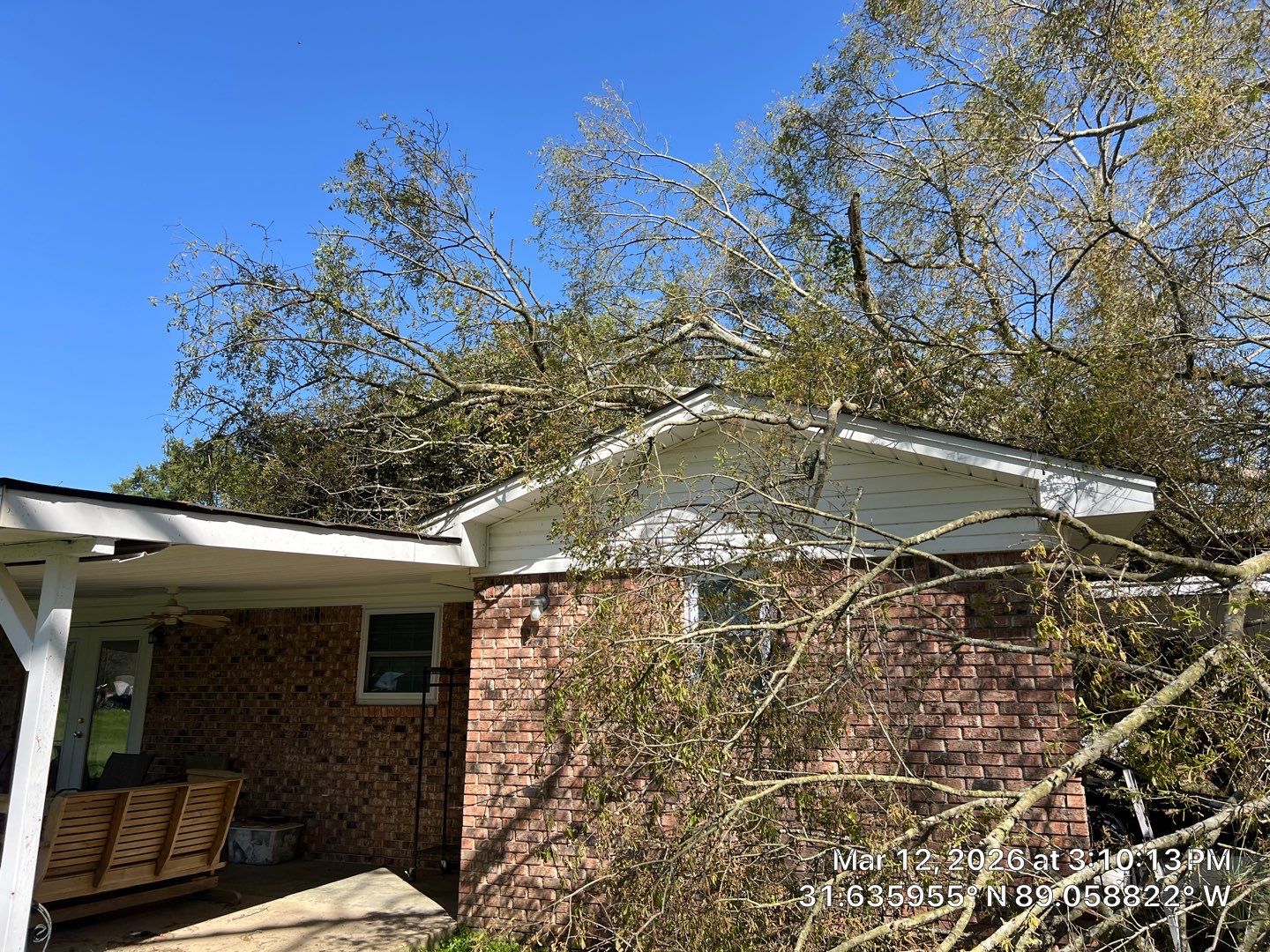 tree fallen on a house