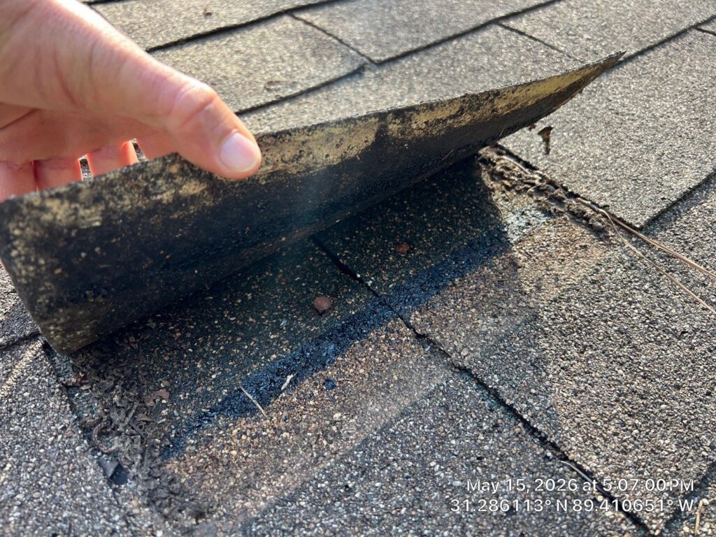 lifted shingles 