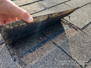lifted shingles